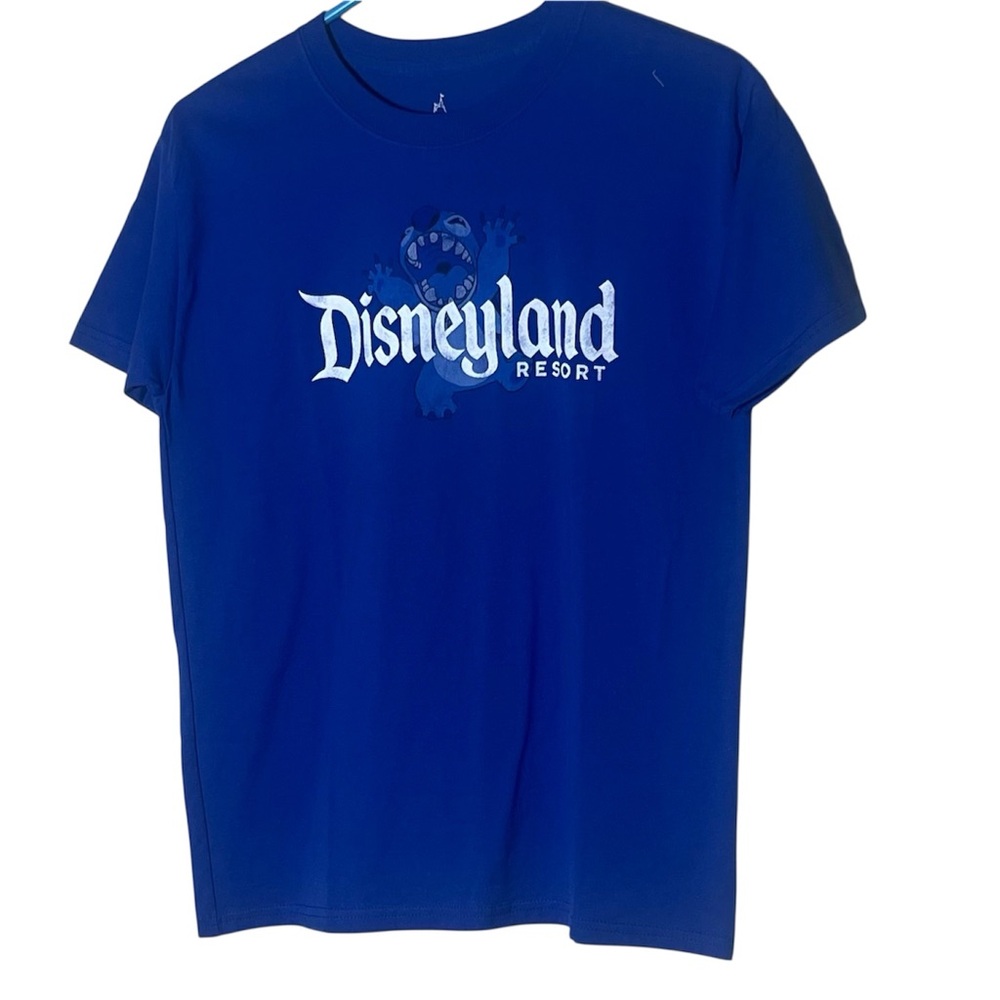 Hanes Blue Graphic Men's Tee